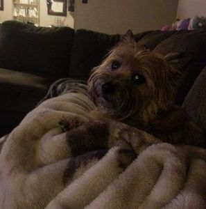 Meet your Posher, Angela